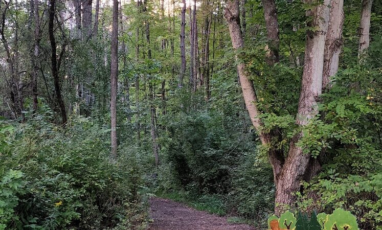 Evergreen Trails Campgrounds - Angelica, NY