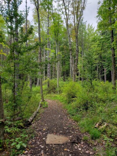 Evergreen Trails Campgrounds - Angelica, NY