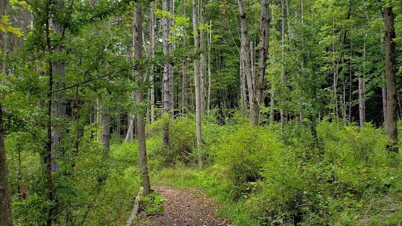 Evergreen Trails Campgrounds - Angelica, NY