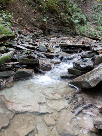 Evergreen Trails Campgrounds - Angelica, NY