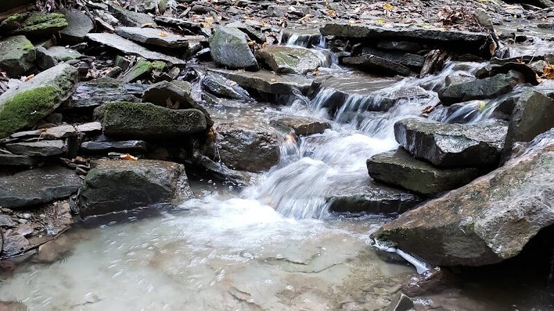 Evergreen Trails Campgrounds - Angelica, NY