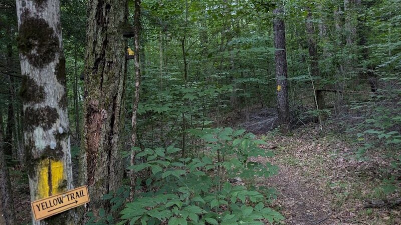 Jones Pond Mens Only Campground & RV Park - Angelica, NY