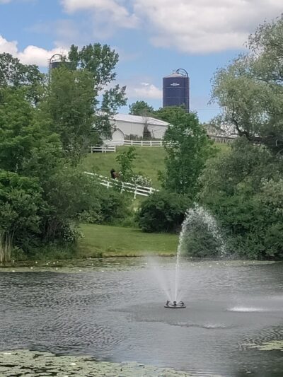 Jones Pond Mens Only Campground & RV Park - Angelica, NY
