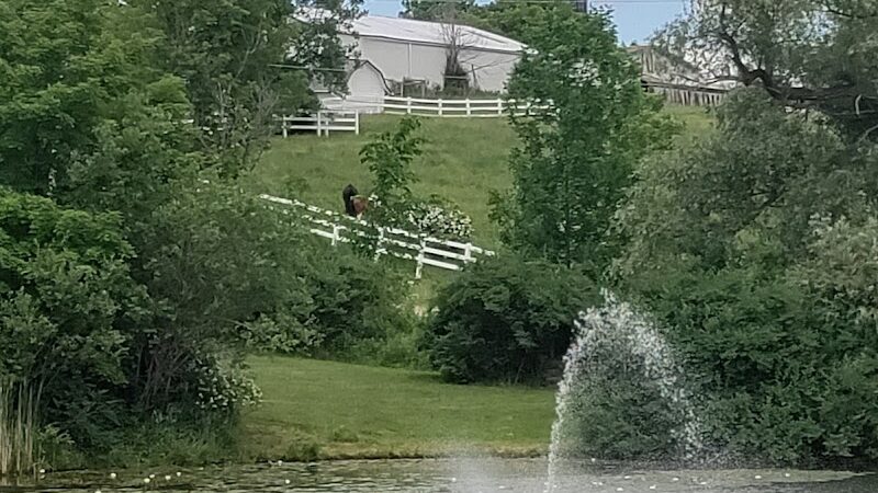 Jones Pond Mens Only Campground & RV Park - Angelica, NY