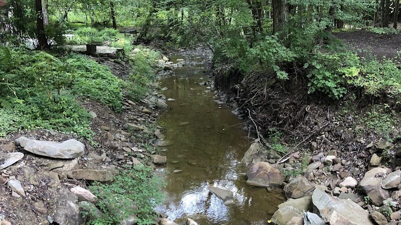 Jones Pond Mens Only Campground & RV Park - Angelica, NY