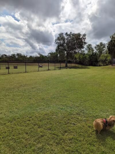 Apollo Beach Dog Park - Apollo Beach, FL