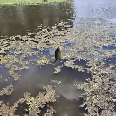 Northmoreland Park - Apollo, PA
