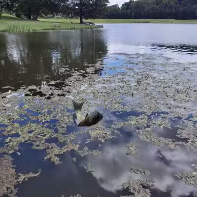Northmoreland Park - Apollo, PA