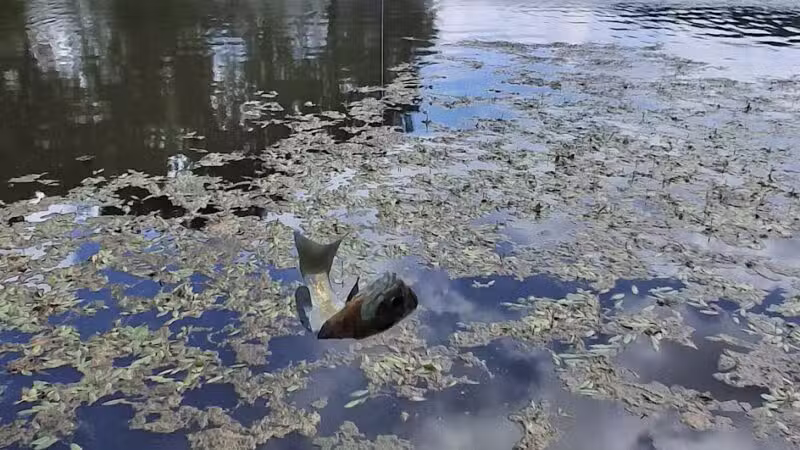 Northmoreland Park - Apollo, PA