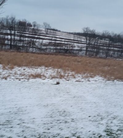 Elbert N. Kunkle Park - Apollo, PA