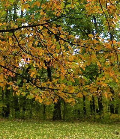 Elbert N. Kunkle Park - Apollo, PA