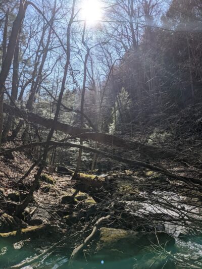 Jackson Falls - Apollo, PA