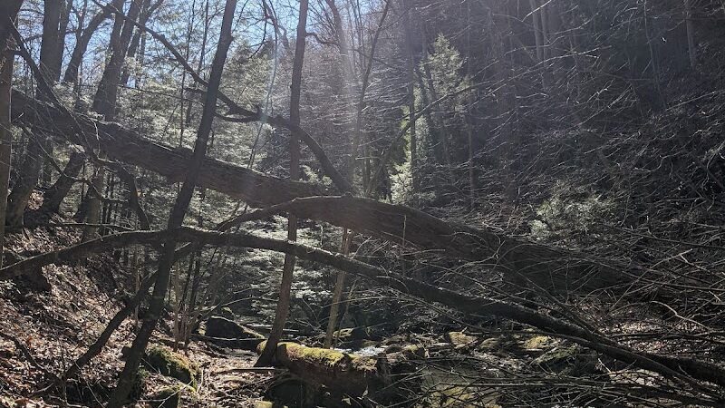 Jackson Falls - Apollo, PA