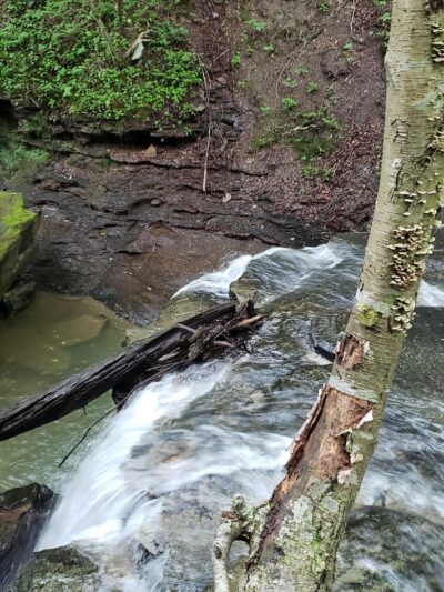 Jackson Falls - Apollo, PA