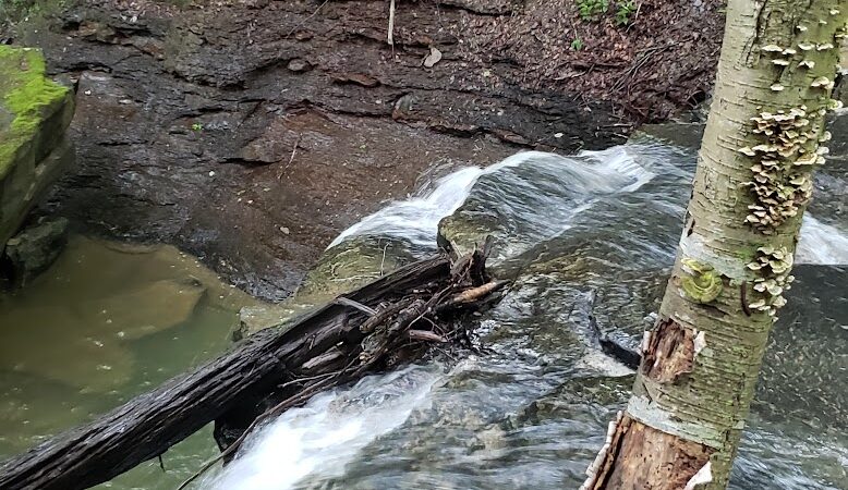 Jackson Falls - Apollo, PA
