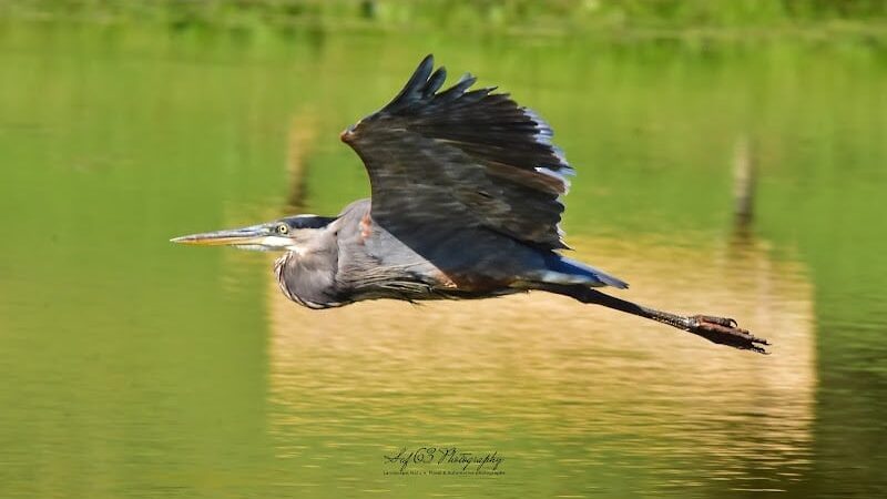 Northmoreland Park - Apollo, PA