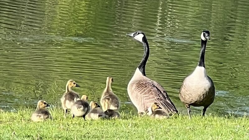 Northmoreland Park - Apollo, PA