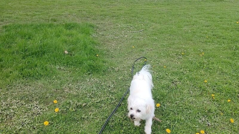 Northmoreland Park - Apollo, PA