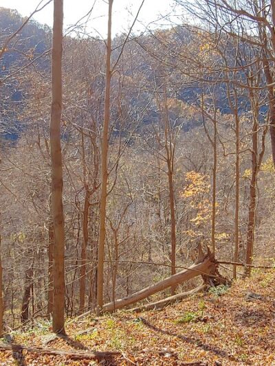 Roaring Run Trailhead - Apollo, PA