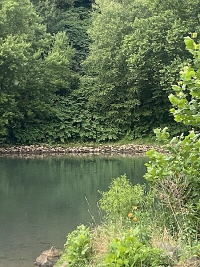 Roaring Run Trailhead - Apollo, PA