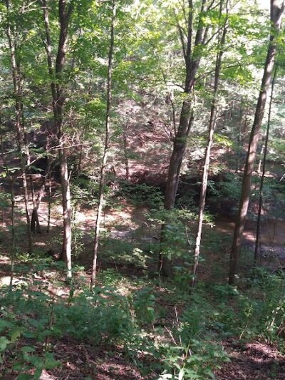 Rock Furnace Trail - Trailhead - Apollo, PA