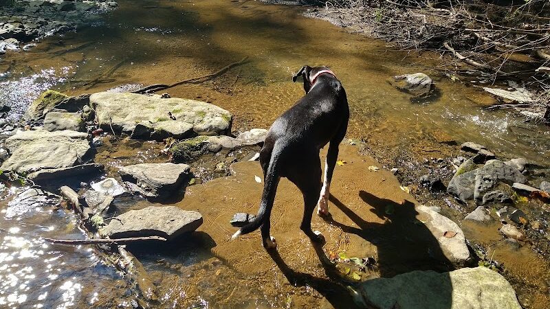 Rock Furnace Trail - Trailhead - Apollo, PA