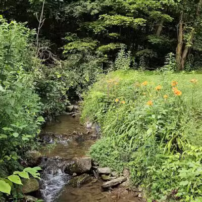 Roaring Run Trailhead - Apollo, PA