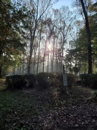 Arab City Park, Arab Historic Village - Arab, AL