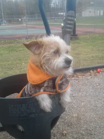 Arab City Park Playground - Arab, AL