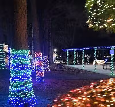Arab City Park Playground - Arab, AL