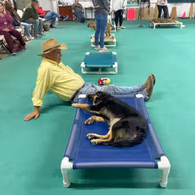 South Paw Obedience Training - Arab, AL