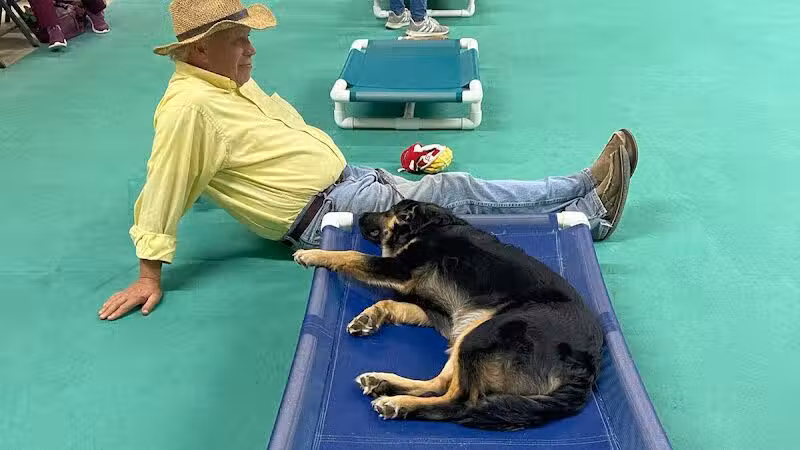 South Paw Obedience Training - Arab, AL