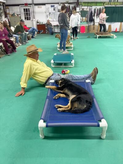 South Paw Obedience Training - Arab, AL