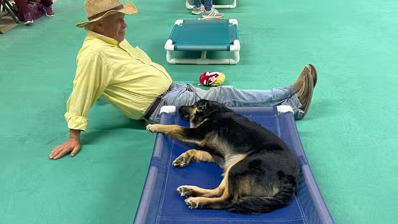 South Paw Obedience Training - Arab, AL