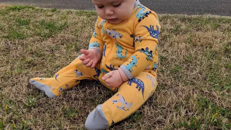 Thompson-Eidson Park - Arab, AL