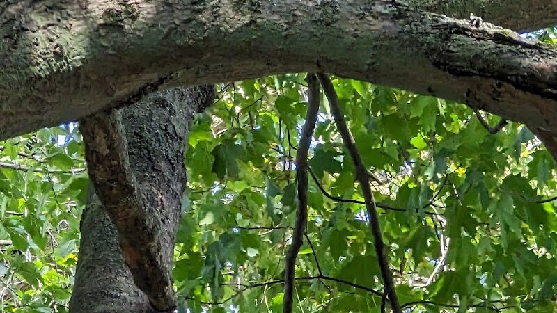 Arcade Village park - Arcade, NY