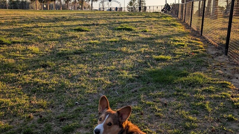 Barkdale Dog Park