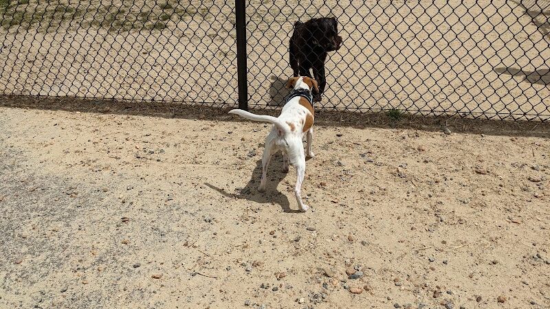 Barkdale Dog Park