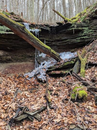 Otto & Magdalene Ackermann Nature Preserve - Ardara, PA