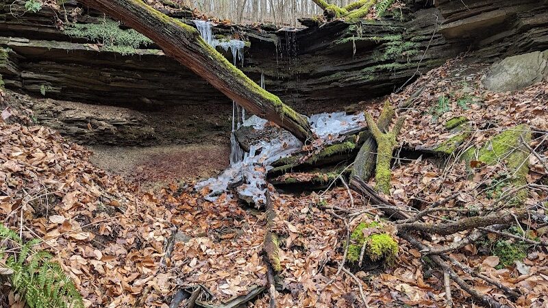 Otto & Magdalene Ackermann Nature Preserve - Ardara, PA