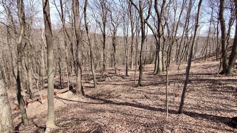 Otto & Magdalene Ackermann Nature Preserve - Ardara, PA