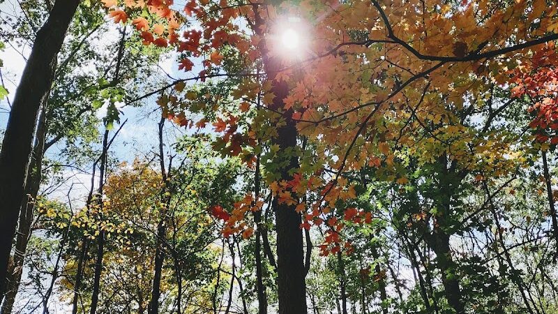 Otto & Magdalene Ackermann Nature Preserve - Ardara, PA
