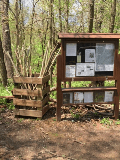 Otto & Magdalene Ackermann Nature Preserve - Ardara, PA