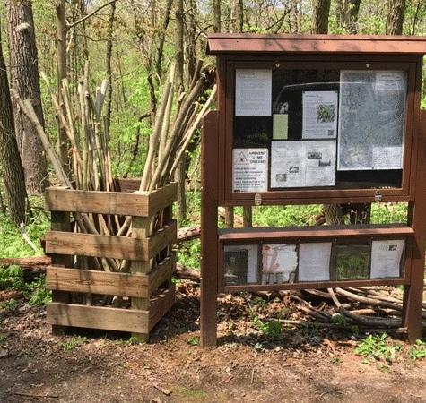 Otto & Magdalene Ackermann Nature Preserve - Ardara, PA