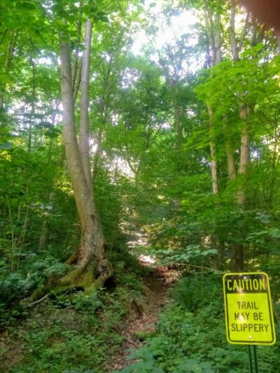 Otto & Magdalene Ackermann Nature Preserve - Ardara, PA
