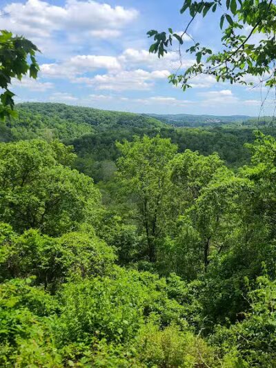 Otto & Magdalene Ackermann Nature Preserve - Ardara, PA