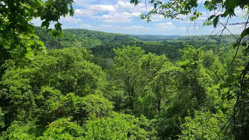 Otto & Magdalene Ackermann Nature Preserve - Ardara, PA