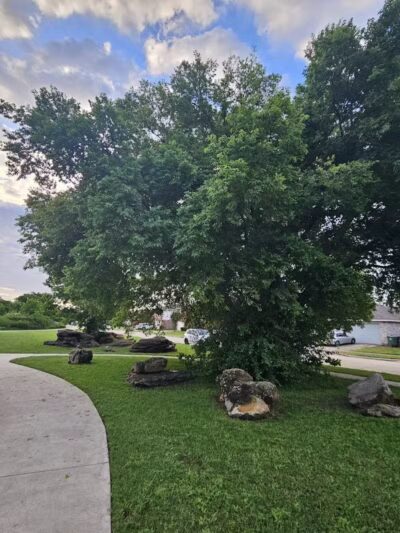 Bowman Branch Linear Trail Entrance - Arlington, TX