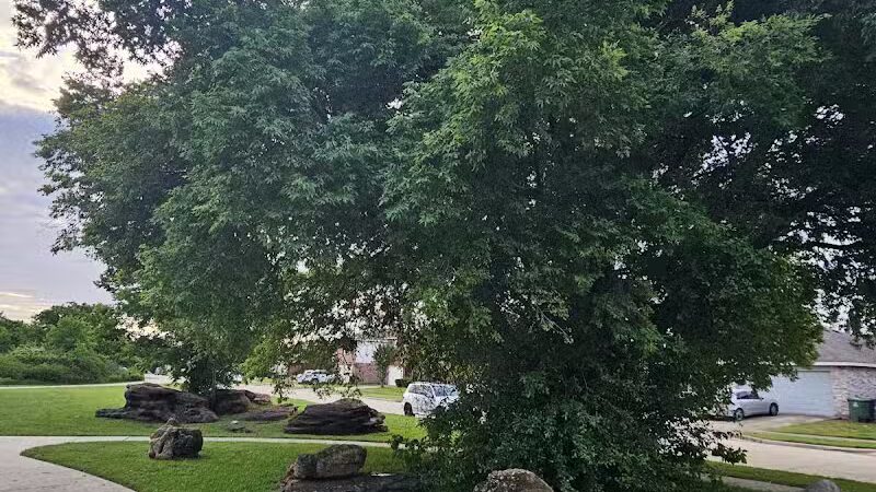 Bowman Branch Linear Trail Entrance - Arlington, TX