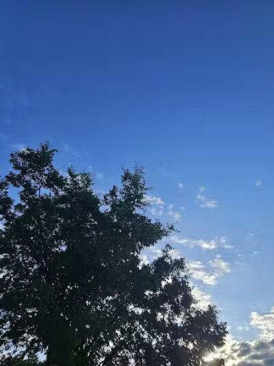 Bowman Branch Linear Trail Entrance - Arlington, TX